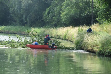 20180705 Fallen Tree 7