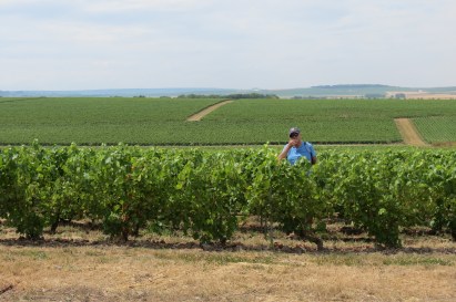 20180720 - among the Champagne Vineyards 05