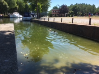 The boys are swimming - again Cambrai