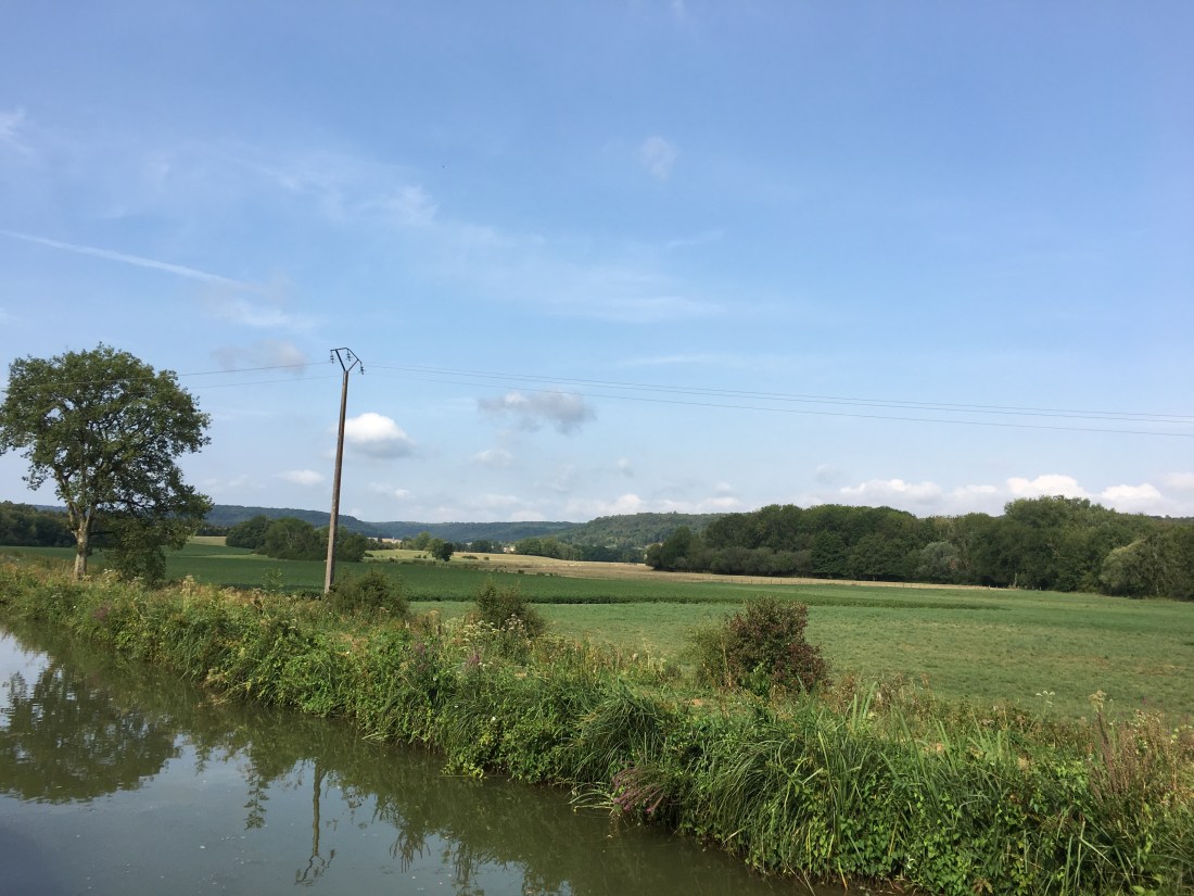 82E84F59-4894-4D76-BD11-E6AC5286146E