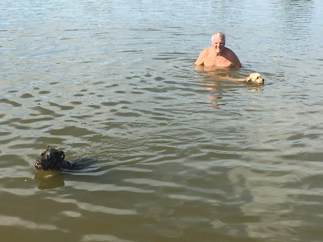 41AF68B0-90F3-419C-971D-5EC5D209F893