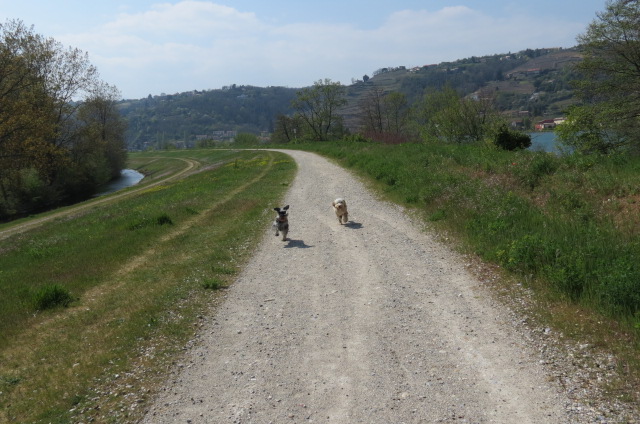 20190412 - 07 Boys having fun!