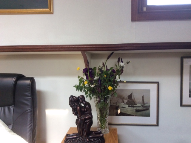 20190412 - 09 wild orchids