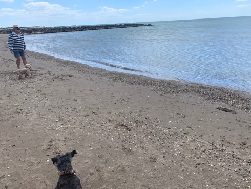 20190512 01 - Vias-Plage