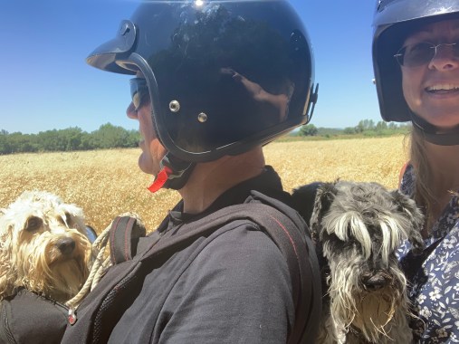 20190712 07 - Heading home from swimming