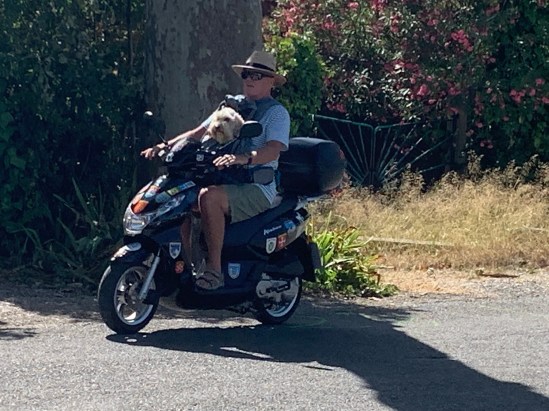 20190713 01 - New Brody carrier