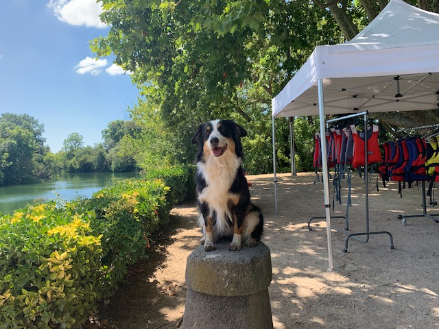 20180810 Mika - what a cutie