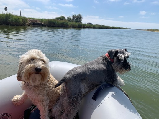 20190817 03 Heading to the Med