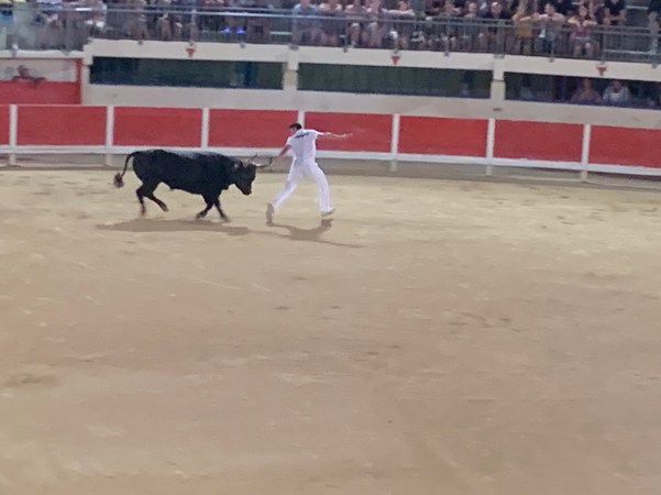 20190822 05 Course Camarguaise Grau du Roi