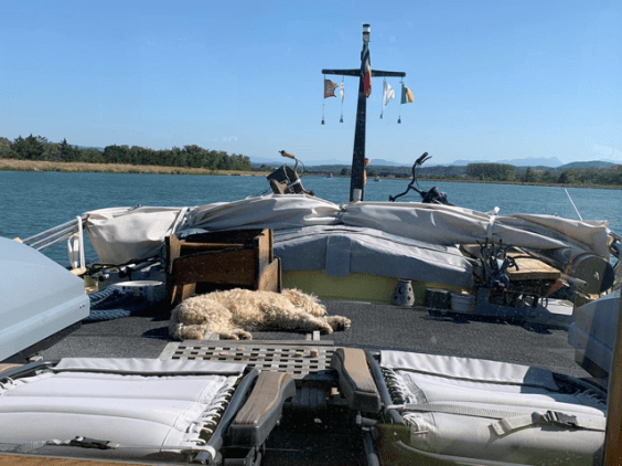 20190902 05a Brody sunbathing