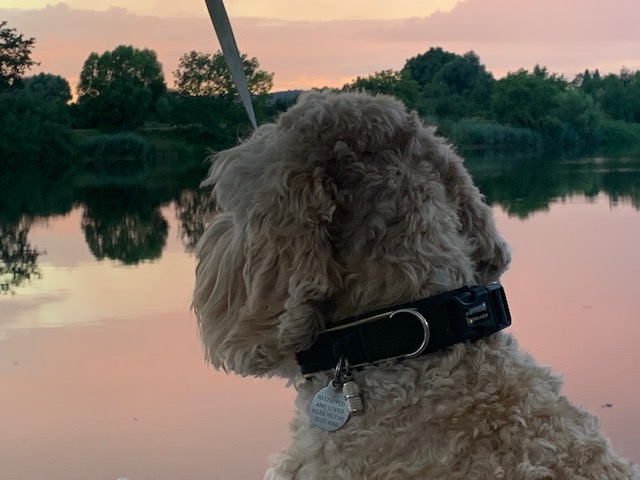 20200724 02 The Quay before Lisdorf Lock