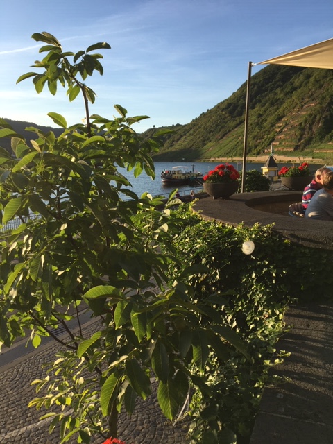 20200729 04 - Beilstein