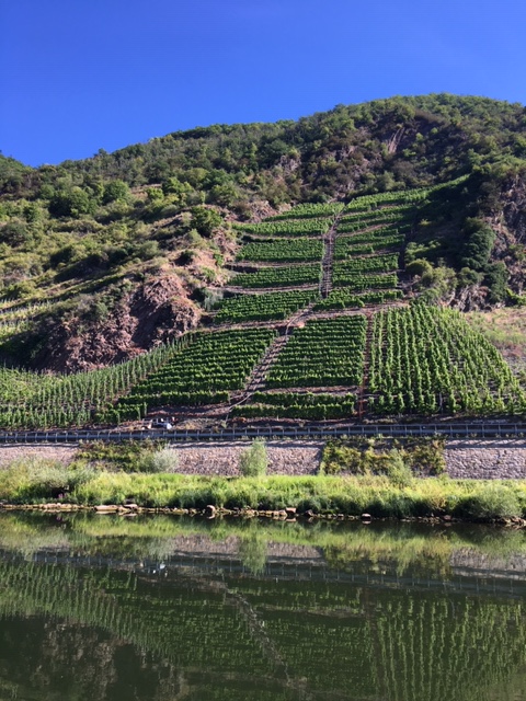 20200730 01 - Steep vineyards